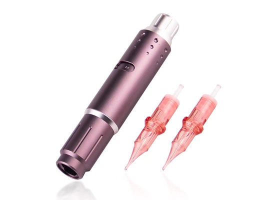 Moteur sans noyau Permanent Anti-Backflow Ombre Poudre Sourcils Machine PMU fournisseur